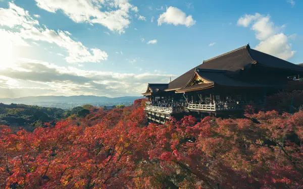 Day 5: Kyoto Temples & Geisha District
