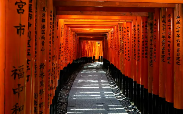 Day 11: Return to Tokyo