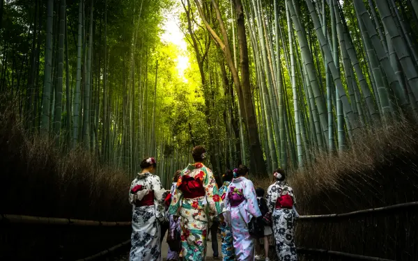 Day 8: Arashiyama Bamboo Forest