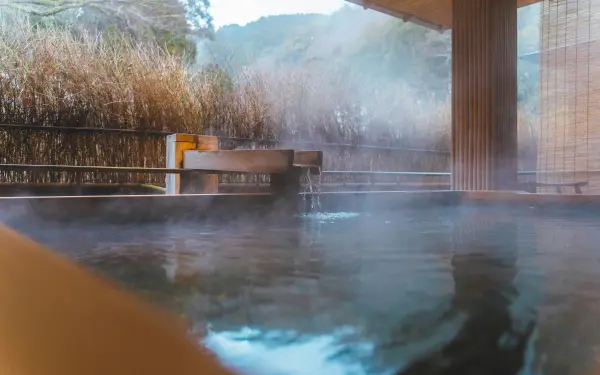 Day 3: Shinjuku to Hakone & Ryokan Experience