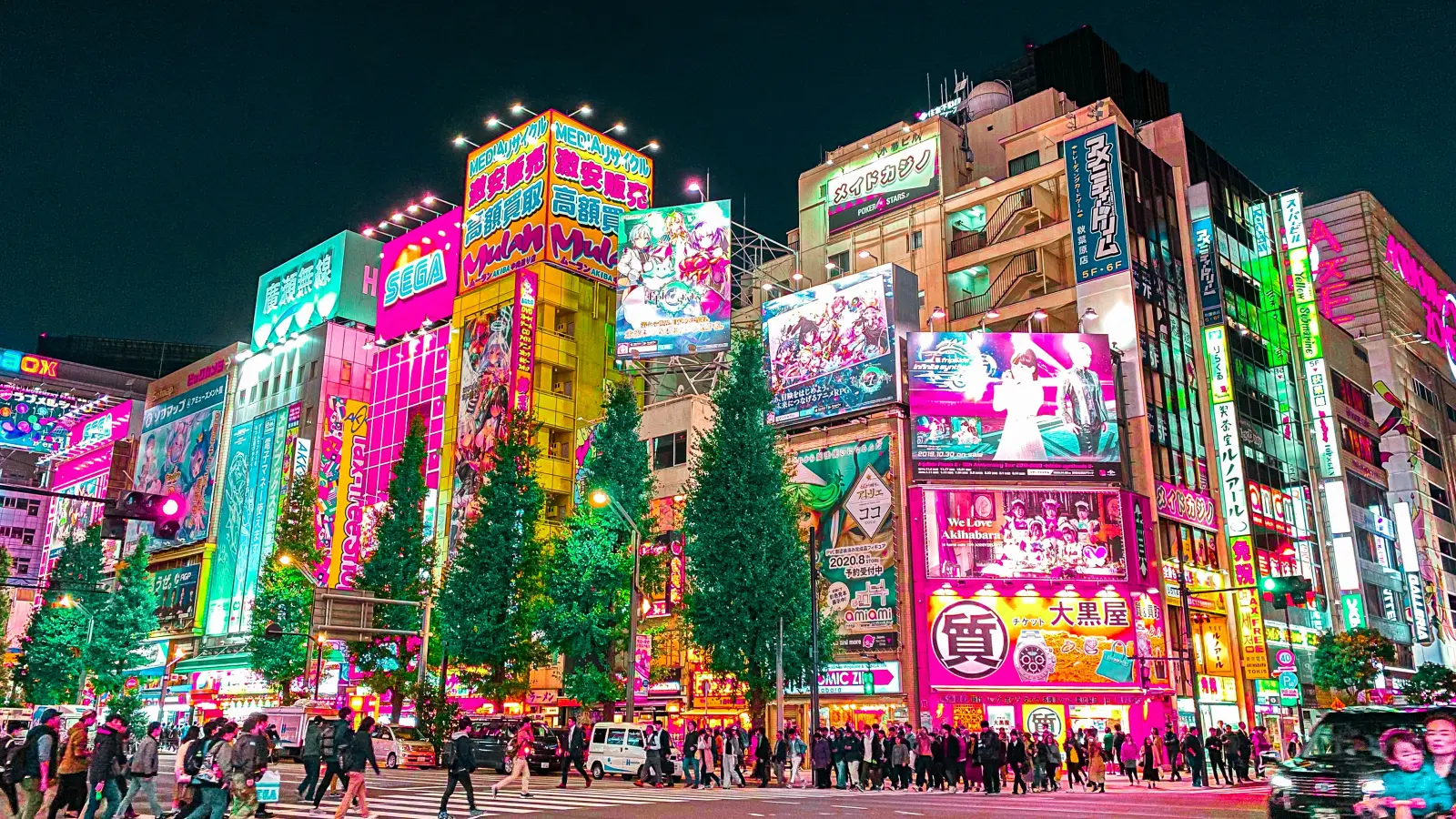 Anime Tour