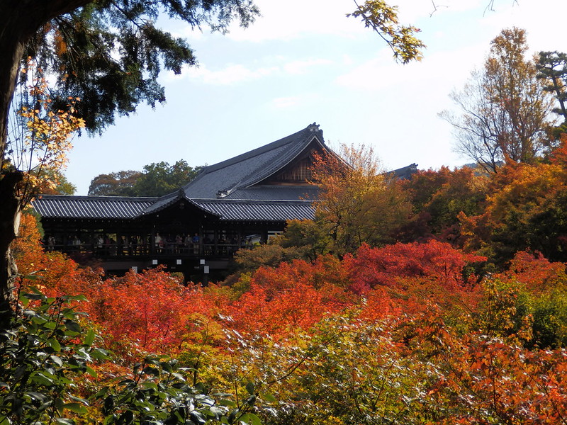 Tofukuji Temple: Fall Colors